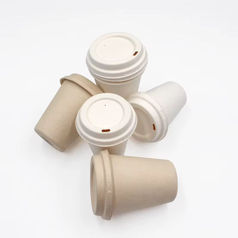 Sugarcane Cups