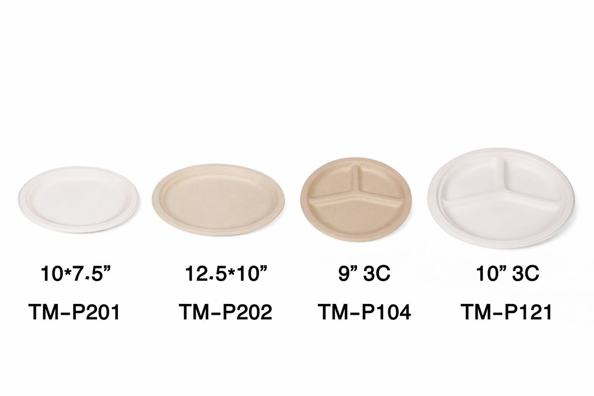 صحن دائري 02
